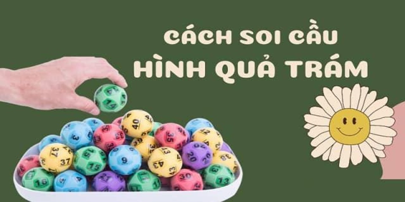 Tổng quan về soi cầu quả trám